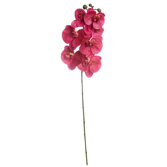 Dark Pink Orchid Stem by Ashland&#xAE;